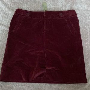 American Eagle 🦅 velvet mini skirt